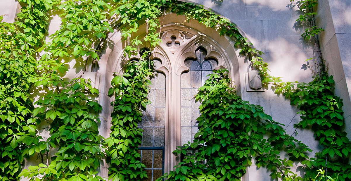 beaumont tower with ivy