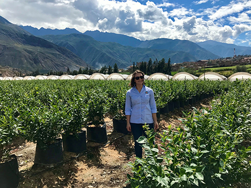 Jennifer Pulchiper in crop field in Peru